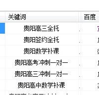 新站如何快速穩定地提高關鍵詞的排名？揚揚案例分享