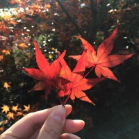 網(wǎng)站空間是否穩(wěn)定流暢對SEO排名優(yōu)化的影響有多大？