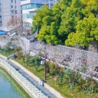 南京多條河道實(shí)現(xiàn)-清水綠岸 魚翔淺底